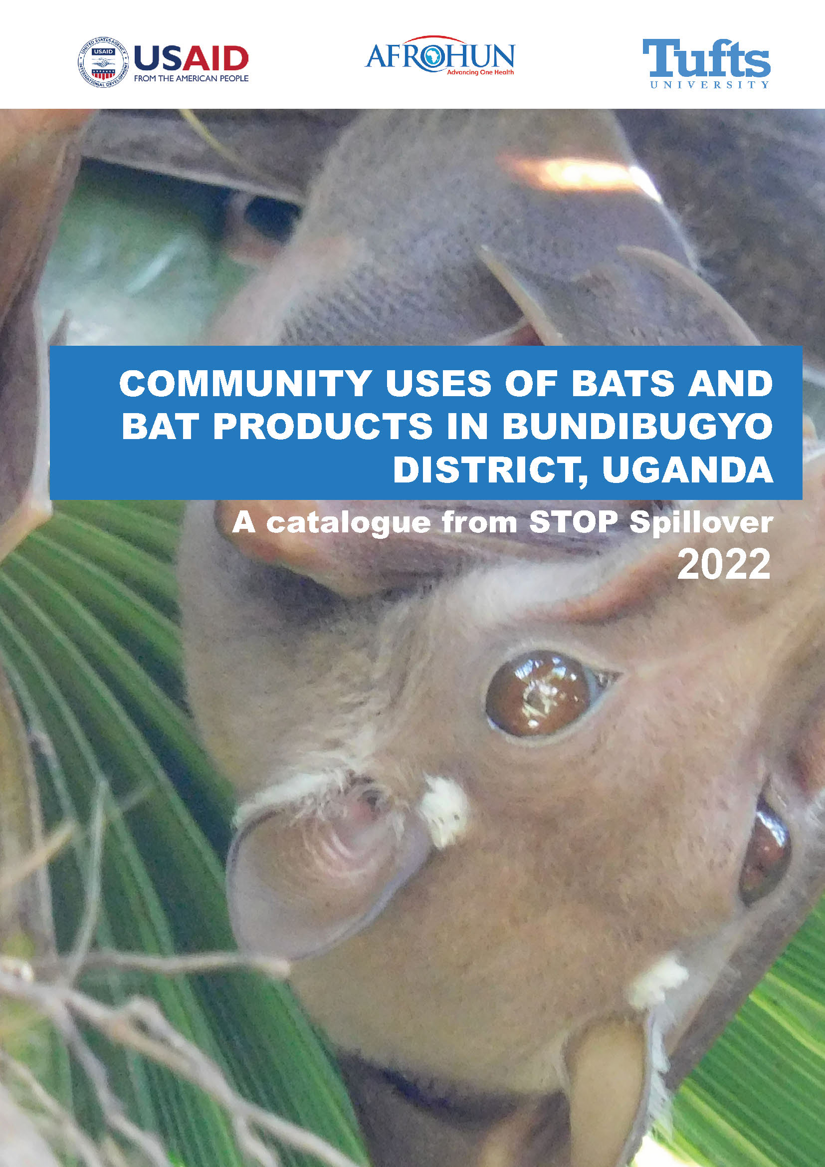 Community Uses of Bats and Bat Products in Bundibugyo District, Uganda